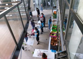 Solidarité à Aix-Marseille Université : des paniers alimentaires pour les étudiants