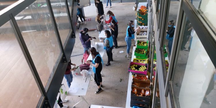 Solidarité à Aix-Marseille Université : des paniers alimentaires pour les étudiants