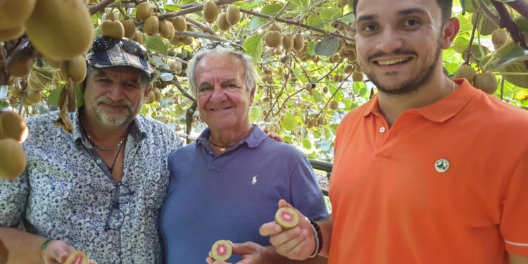 Sylvain Colleville, directeur commercial chez Peruzzo, Antonio Ruffo, directeur général de Fruitgrowing Equipment & Service, Tony Saglietto, directeur de Peruzzo. Crédit Peruzzo)