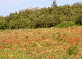 L’Agence de l’eau en appelle à tous pour sauver l’eau et la biodiversité