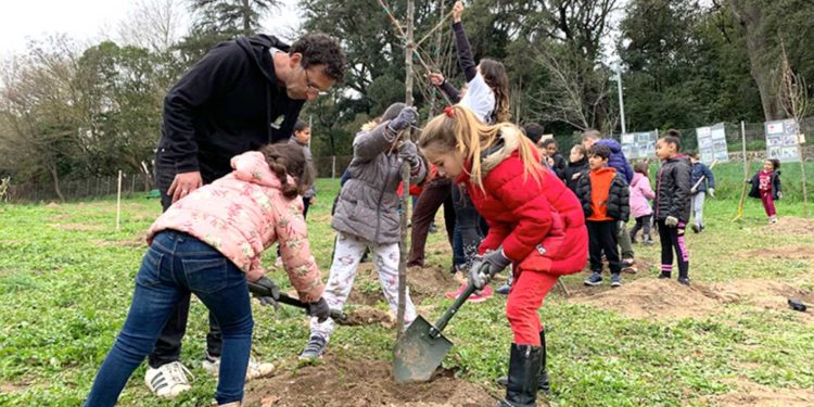 181 arbres ont été plantés à la cité La Marie, dans le 13e arrondissement de Marseille (Photo archives 13 Habitat - DR)