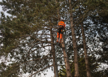 Elagage, paysage, végétalisation… : Serpe (Le Thor) entre dans le top 4 du secteur