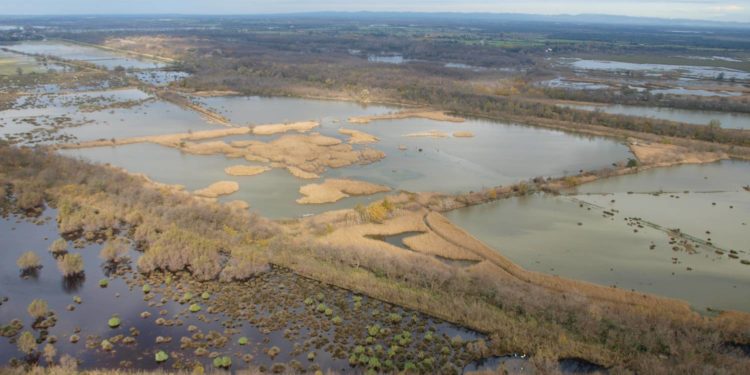 marais-vigueirat-groupe-sos