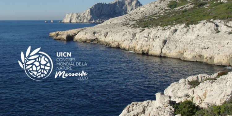 Le congrès mondial de la nature aura lieu en septembre 2021 (Crédit DR)