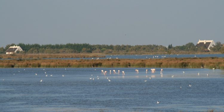 Natur’Act : le tourisme provençal s’engage pour la biodiversité
