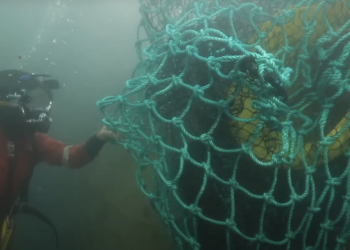 D'RAin empêche les déchets plastiques d'être rejeter en mer à la sortie des réseaux d'eau pluviale (Crédit GCO)