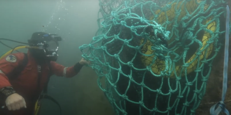 D'RAin empêche les déchets plastiques d'être rejeter en mer à la sortie des réseaux d'eau pluviale (Crédit GCO)