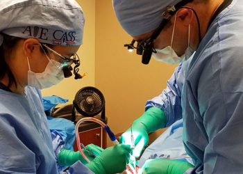 Biotech Dental espère imposer ses implants dentaires et sa technolovie auprès des dentistes américains Crédit DR)