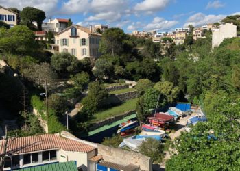 Hack4nature : Mieux identifier la biodiversité en ville pour la protéger (Crédit Gomet'/JFE)