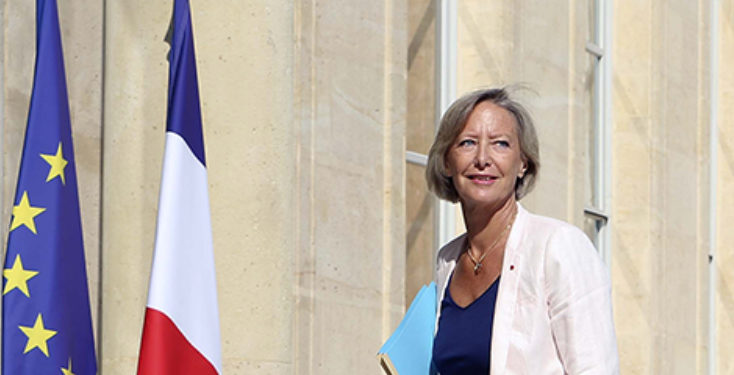 Sophie Cluzel (Crédit secrétariat d'Etat aux personnes handicapées).