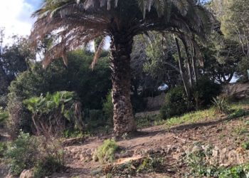 Parc Valmer vendredi 19 février 2021 (Crédit photo Gomet').