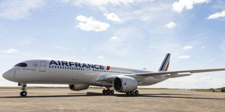 Lé Région Sud s'inquiète de la fermeture possible des bases Air France en région ( Crédit : Air France)
