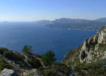 consortium-biodiversite-mediterranee