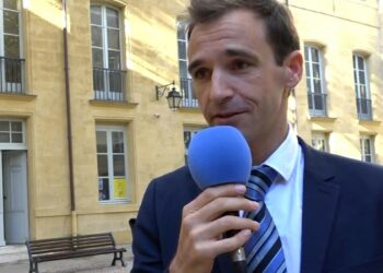 Christophe Alaux, le directeur de l'IMPGT (Crédit archives Gomet').