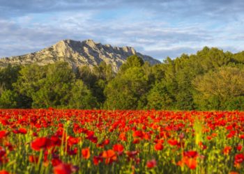 La montagne Sainte-Victoire dans le pays d'Aix (Crédit Myprovence.fr)