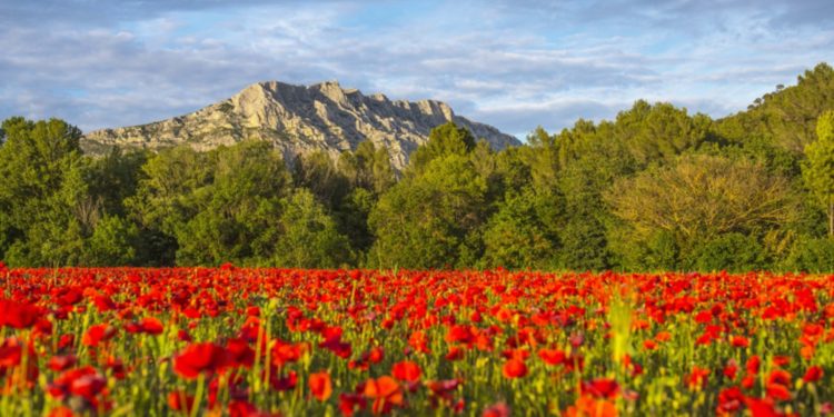 La montagne Sainte-Victoire dans le pays d'Aix (Crédit Myprovence.fr)