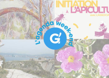 [Loisirs] L’agenda du week-end : en balade dans la nature