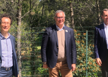 Conférence régionale des sports