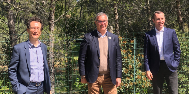 Conférence régionale des sports