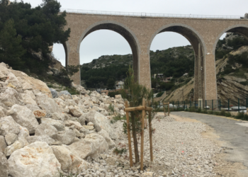 calanque de la vesse