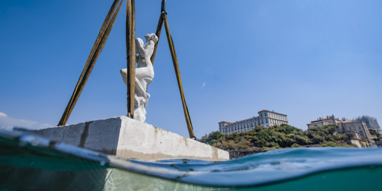 Biodiversité, océans