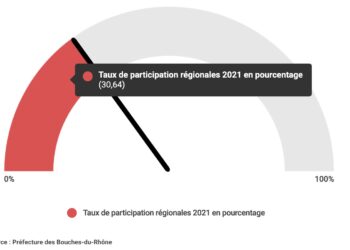 [Elections 2021] Régionales et cantonales : la participation en chute à 17h