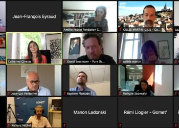 Participants au débat mécénat organisé par Gomet'. (Capture d'écran Zoom).