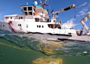 Le telex éco : Harmonie Mutuelle, TPF Industrie, Bourbon, CCI