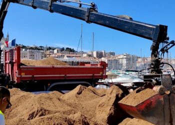 Des espaces végétalisés sont en cours d'installation sur la quai du port