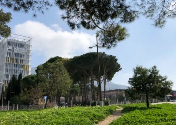 Le campus d'Aix Marseille université à Luminy aux portes du parc des Calanques (Crédit Gomet'/JFE)