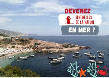 L’application Sentinelles de la Nature permet d’alerter les référents territoriaux de France Nature Environnement Provence-Alpes-Côte Azur sur les atteintes à l’environnement