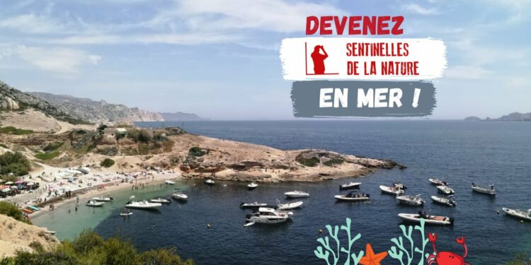 L’application Sentinelles de la Nature permet d’alerter les référents territoriaux de France Nature Environnement Provence-Alpes-Côte Azur sur les atteintes à l’environnement