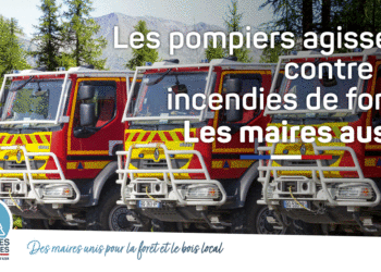 Provence Alpes Côte d’Azur : les 947 communes forestières de la région en campagne