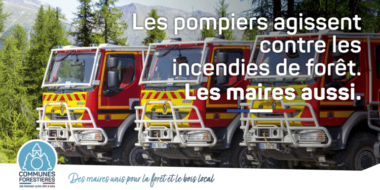 Provence Alpes Côte d’Azur : les 947 communes forestières de la région en campagne