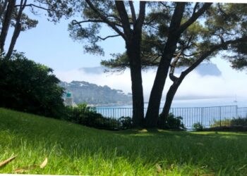 L'une des plus belles vues de Méditerranée : le port et la falaise du Cap Canaille à Cassis, vus depuis le jardin de la Fondation Camargo (Crédit Gomet'/JFE)