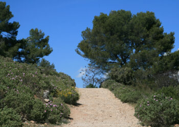 [Expertise] François Fouchier : « Les espaces naturels sont notre patrimoine commun » (1)