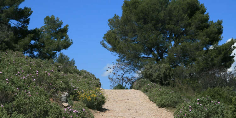 [Expertise] François Fouchier : « Les espaces naturels sont notre patrimoine commun » (1)