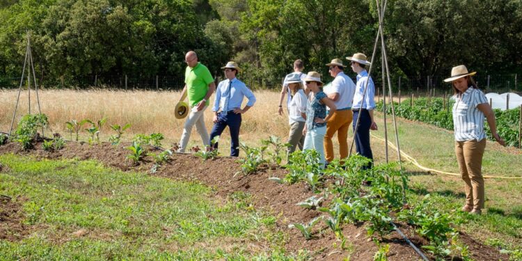 Lors de la visite de la ferme agrobiologique Agrosemense près d'Aix (Crédit JYD/Gomet')