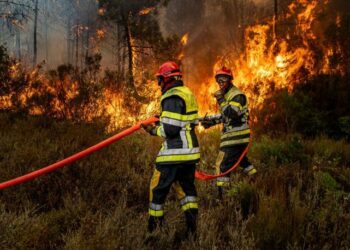 Les incendies sont de plus en plus fréquents dans la région (Crédit Pompiers Sdis 13)