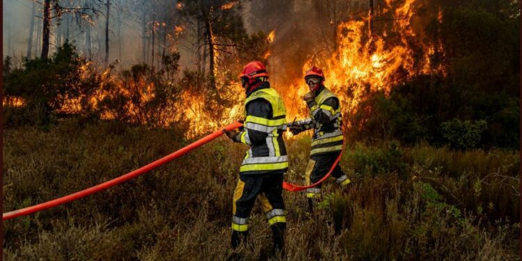 Les incendies sont de plus en plus fréquents dans la région (Crédit Pompiers Sdis 13)