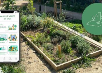 Ma ville verte et moi, une application mobile (Crédit : MVVEM Facebook)