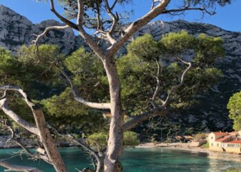 Congrès mondial de la nature UICN