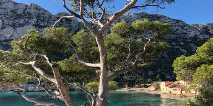 Congrès mondial de la nature UICN