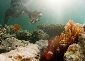 Biodiversité UICN AMP