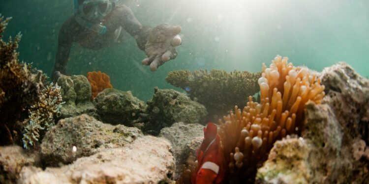 Biodiversité UICN AMP