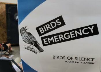 S'endormir en écoutant le son des oiseaux et de la mer au stand de Birds emergency, hall 2 (crédit : RL / Gomet')
