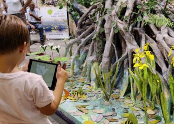 Congrès mondial de la nature