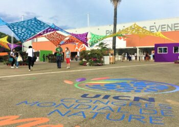 Le parc Chanot en 2021, maintenant aux manettes de GL Events est un des six sites marseillais qui accueillent la compétition des WorldSkills (crédit : archives Gomet’)