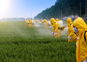 Emmanuel Delannoy (UICN France) : « La biodiversité est notre assurance vie »