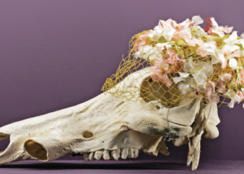 [Loisirs] Les bonnes idées de sorties du week-end du 1-2 octobre